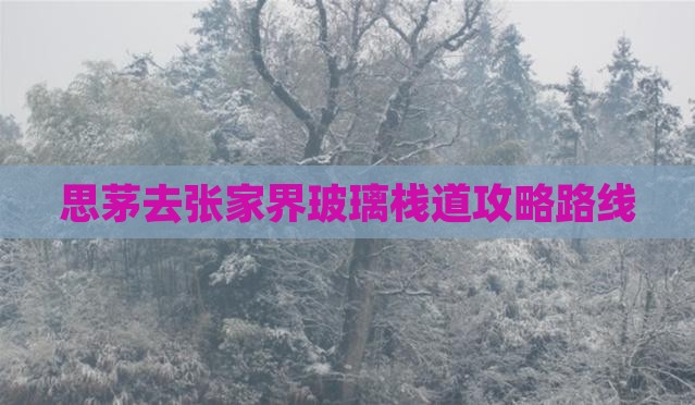思茅去张家界玻璃栈道攻略