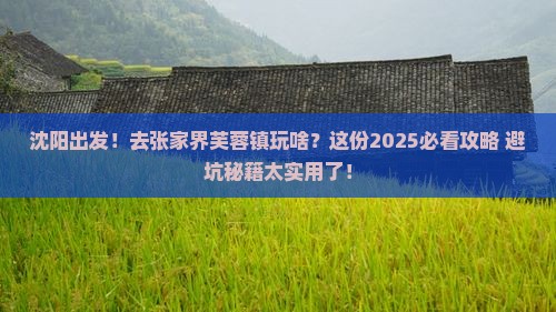 沈阳去张家界芙蓉镇团体旅游