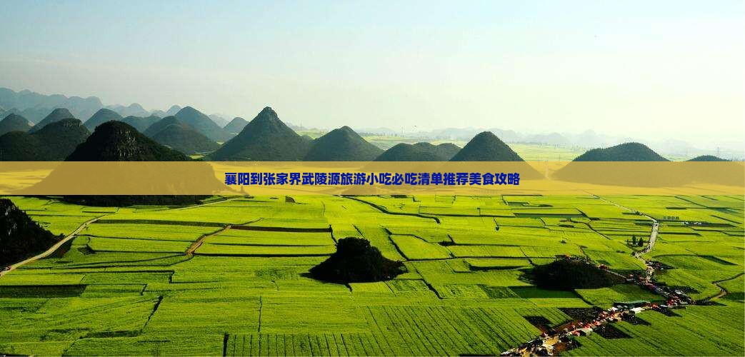 襄阳到张家界武陵源旅游小吃