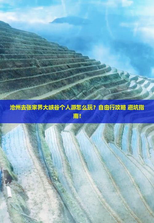 沧州去张家界大峡谷个人游