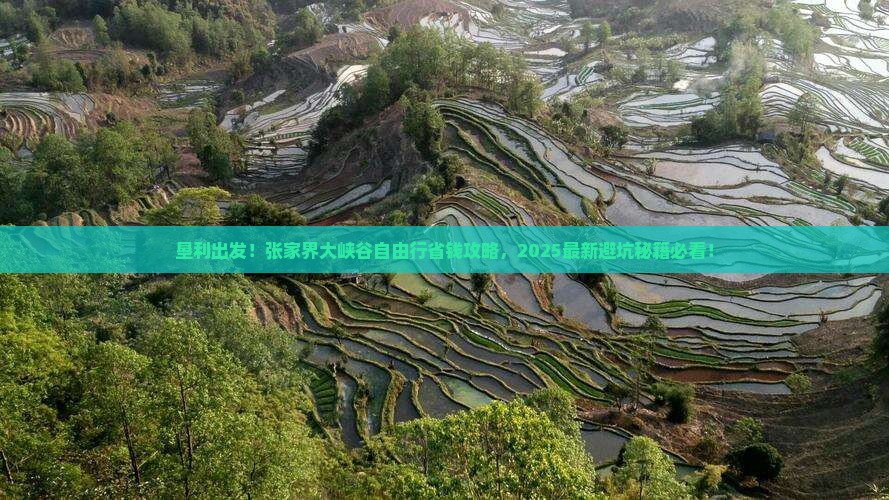 垦利到张家界大峡谷自由行