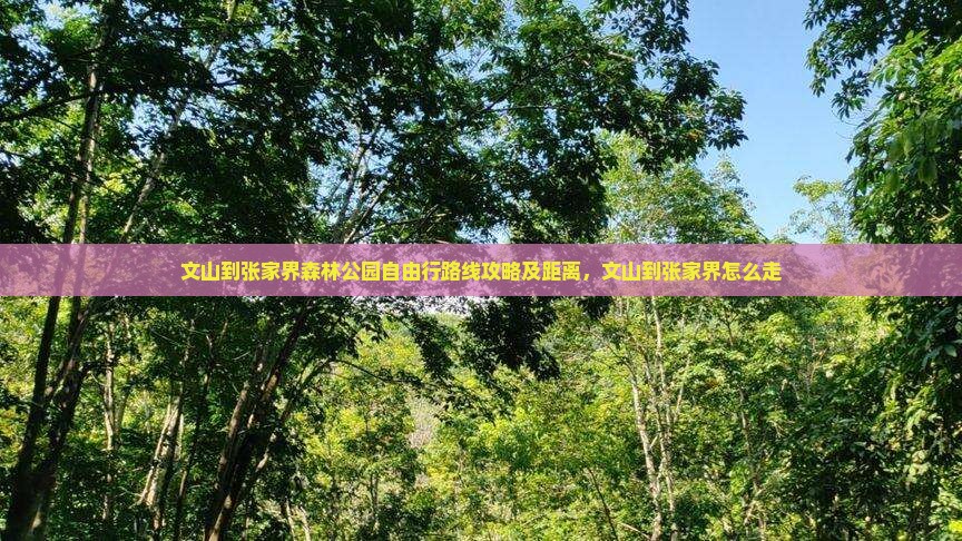 文山到张家界森林公园自由行