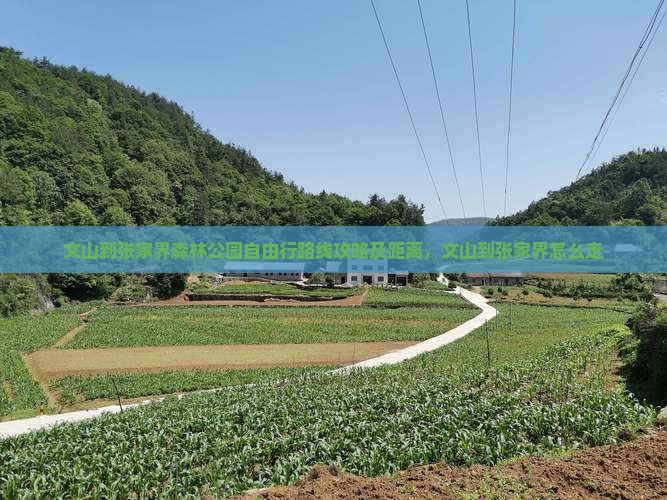 文山到张家界森林公园自由行