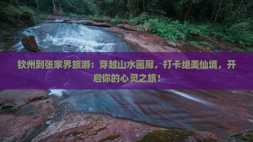 钦州到张家界旅游