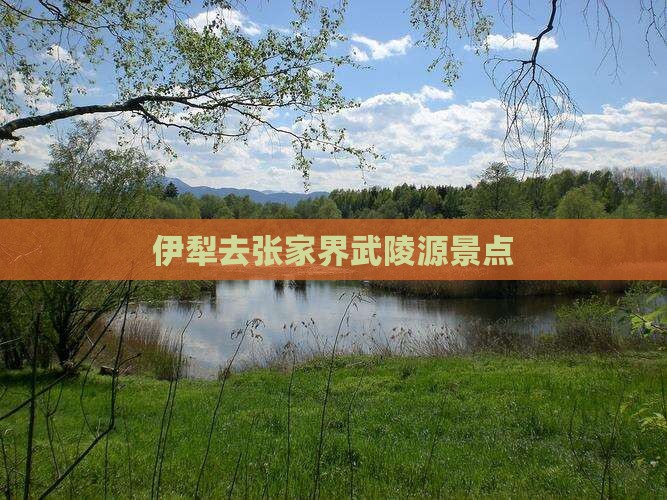 伊犁去张家界武陵源景点