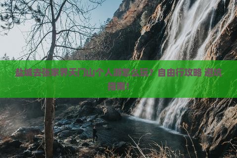 盐城去张家界天门山个人游