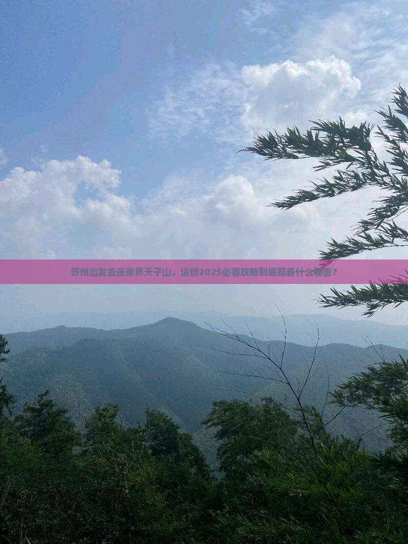 苏州去张家界天子山旅游