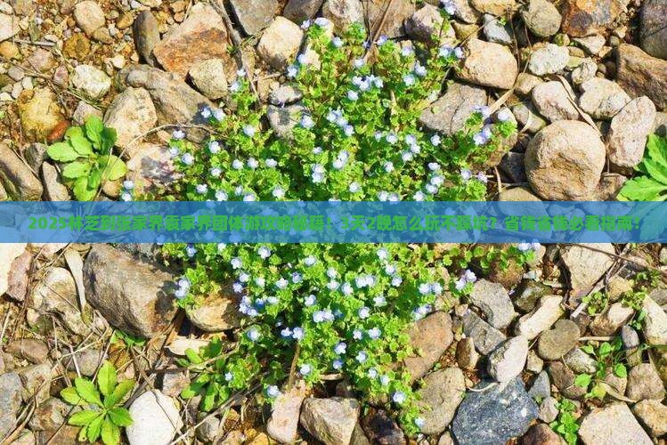 林芝到张家界袁家界团体旅游