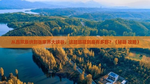 西双版纳去张家界大峡谷景点