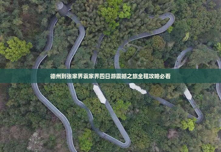 德州到张家界袁家界四日游