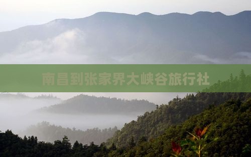 南昌到张家界大峡谷旅行社
