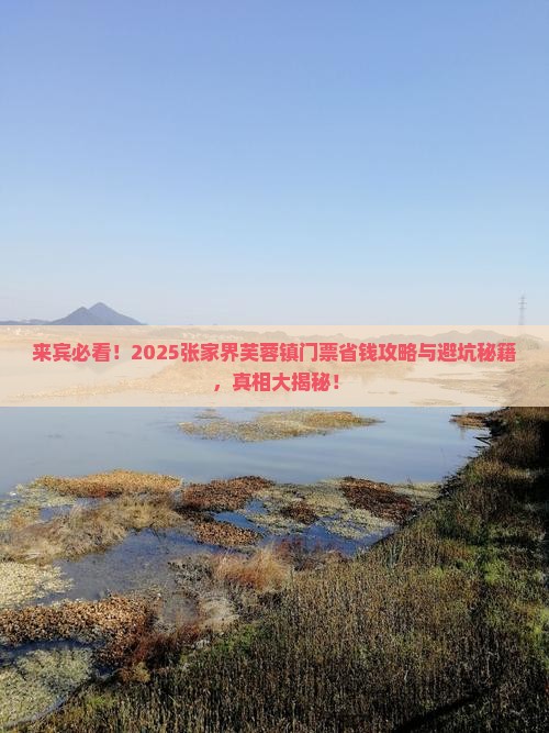 来宾去张家界芙蓉镇门票
