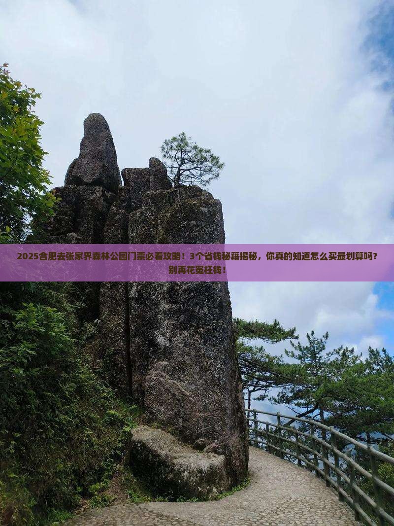 合肥到张家界森林公园门票
