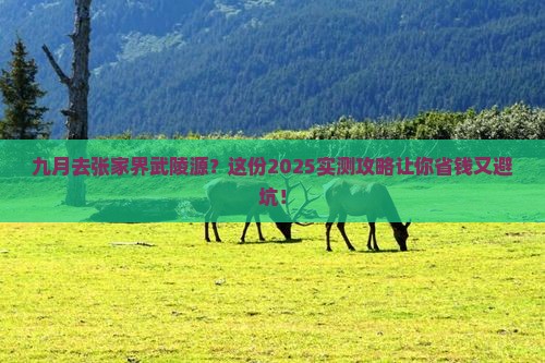 九月去张家界武陵源旅行社