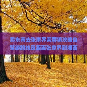 黔东南去张家界芙蓉镇攻略
