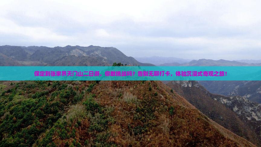 保定到张家界天门山二日游