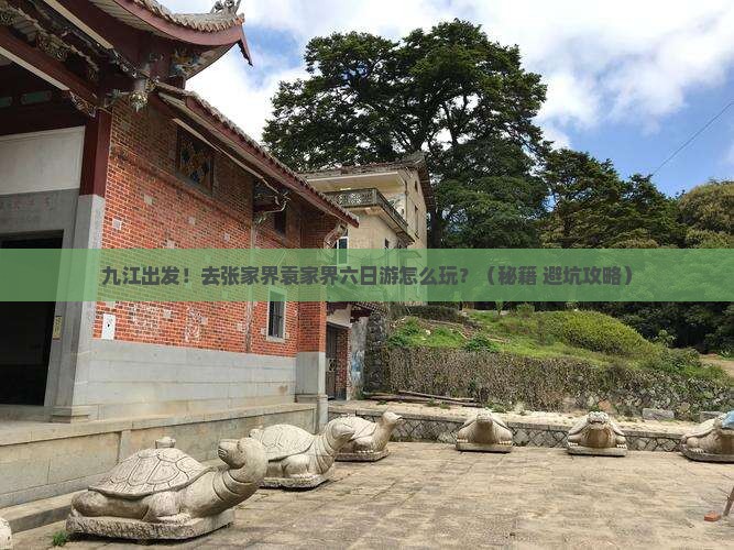 九江去张家界袁家界六日游