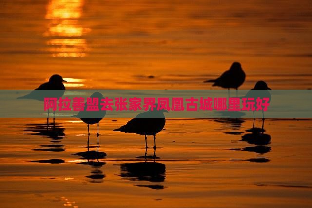 阿拉善盟去张家界凤凰古城哪里玩