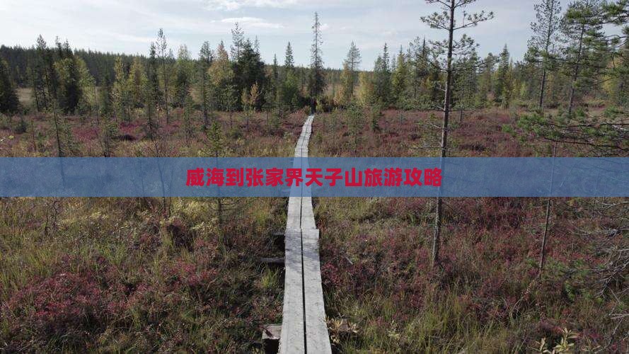 威海到张家界天子山攻略
