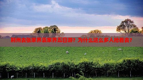 荆州去张家界袁家界五日游