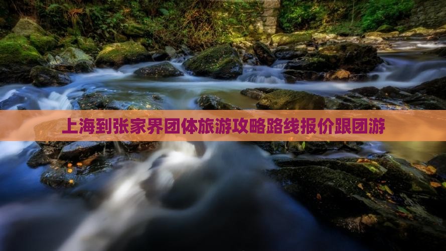 上海到张家界团体旅游