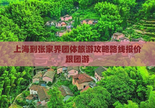 上海到张家界团体旅游