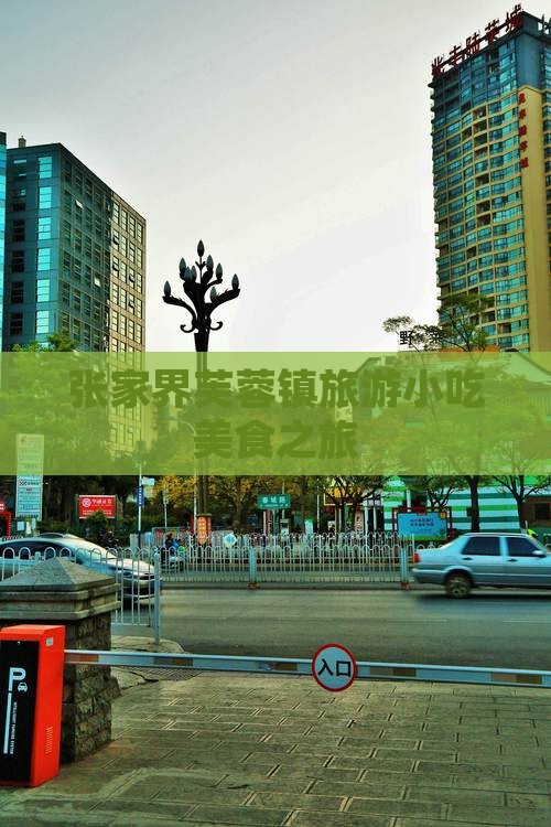 商洛到张家界芙蓉镇旅游小吃