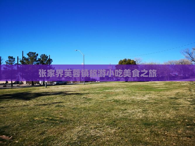 商洛到张家界芙蓉镇旅游小吃