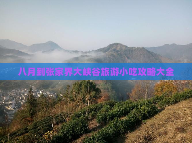 八月到张家界大峡谷旅游小吃 八月到张家界大峡谷旅游小吃