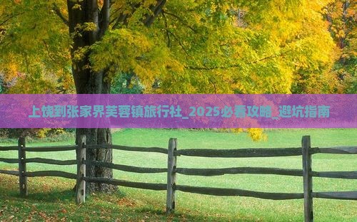 上饶到张家界芙蓉镇旅行社