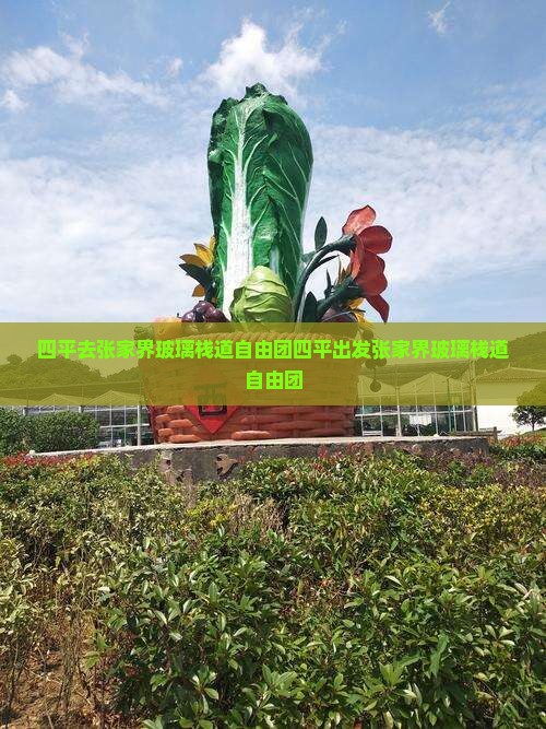 四平去张家界玻璃栈道自由团