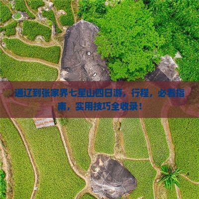 通辽到张家界七星山四日游 通辽到张家界七星山四日游