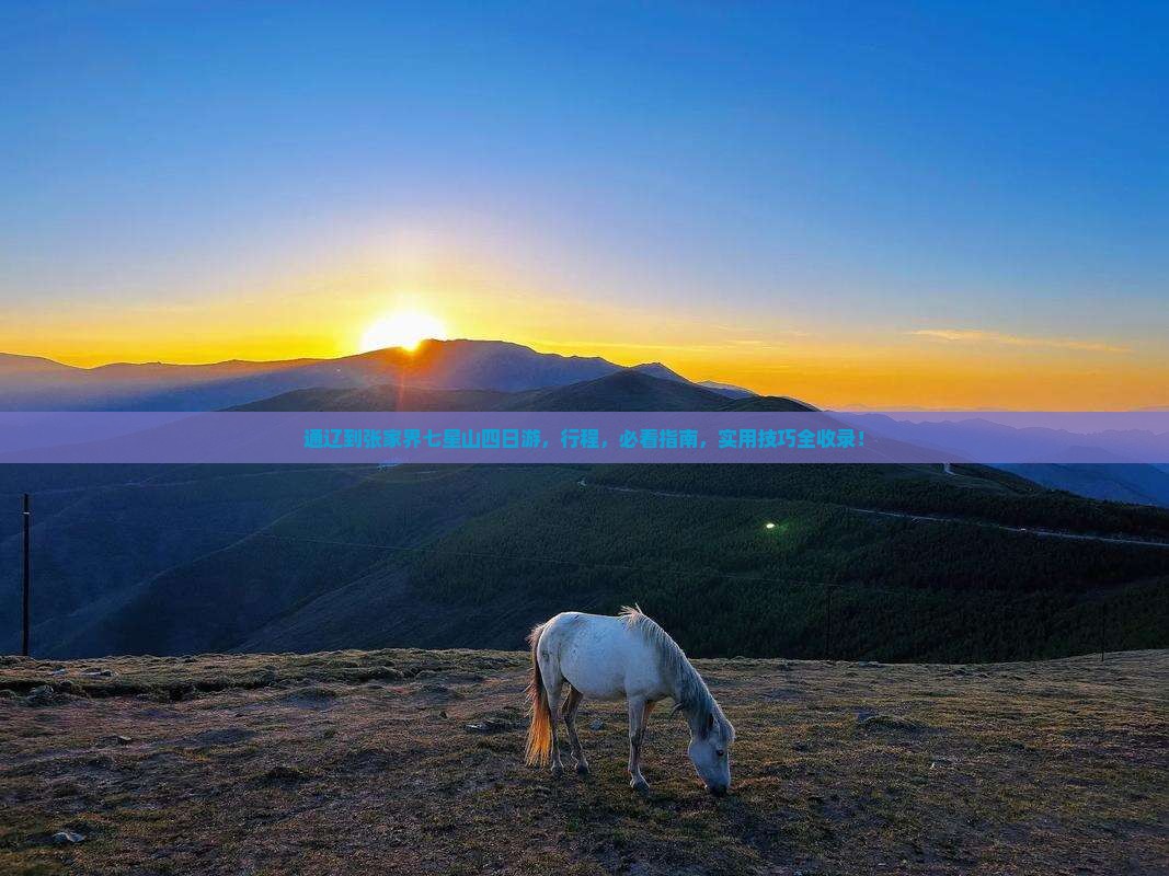 通辽到张家界七星山四日游 通辽到张家界七星山四日游