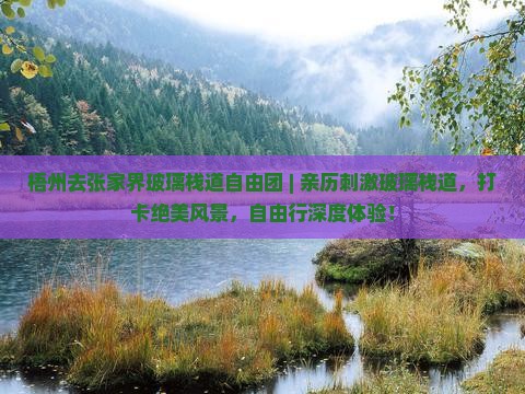 梧州去张家界玻璃栈道自由团