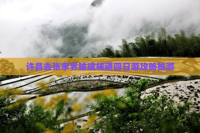 许昌去张家界玻璃栈道四日游