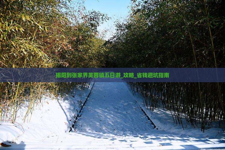 揭阳到张家界芙蓉镇五日游