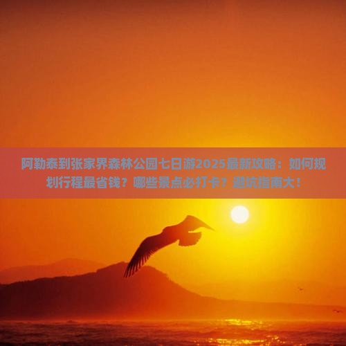阿勒泰到张家界森林公园七日游