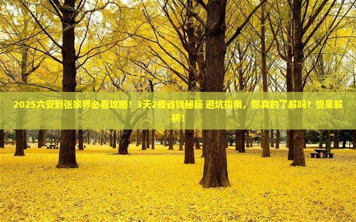 六安到张家界森林公园攻略