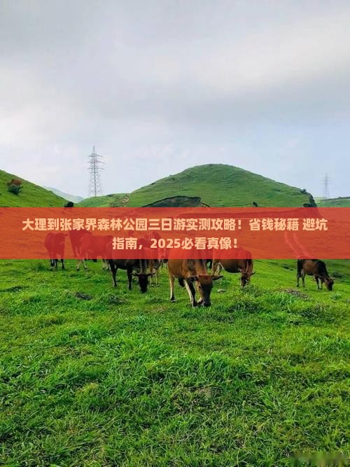 大理到张家界森林公园三日游