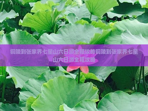 铜陵到张家界七星山六日游