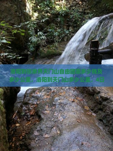 洛阳到张家界天门山自由团