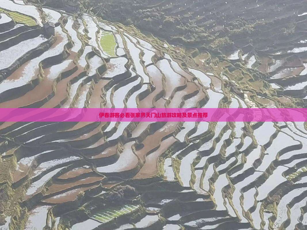 伊春去张家界天门山景点