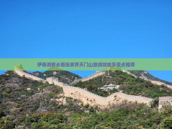 伊春去张家界天门山景点