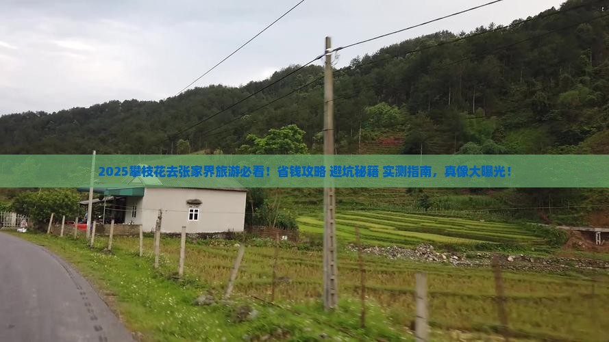 攀枝花去张家界旅游
