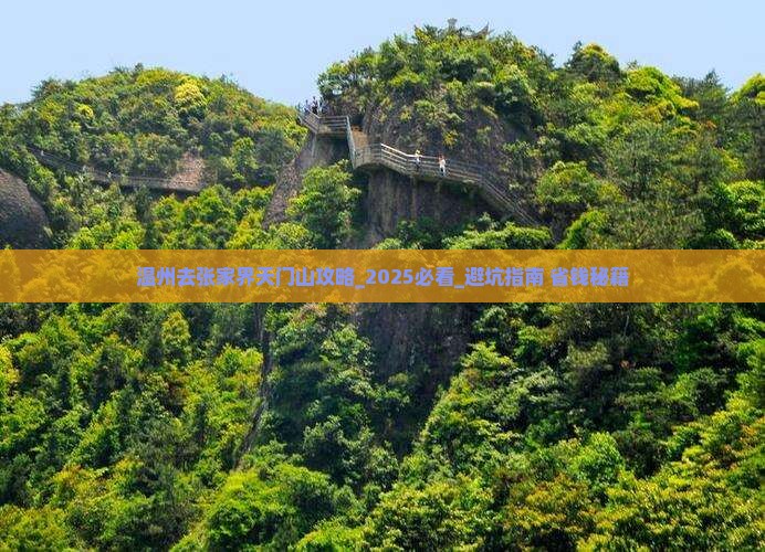 温州去张家界天门山攻略