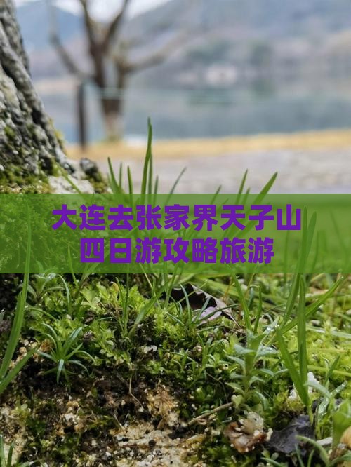 大连去张家界天子山四日游