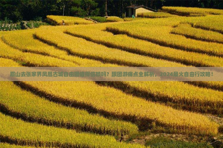眉山去张家界凤凰古城自由团