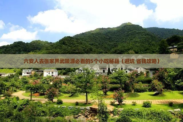 六安去张家界武陵源旅游小吃