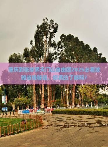 重庆到张家界天门山自由团