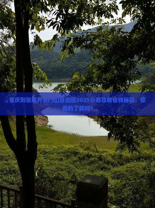 重庆到张家界天门山自由团